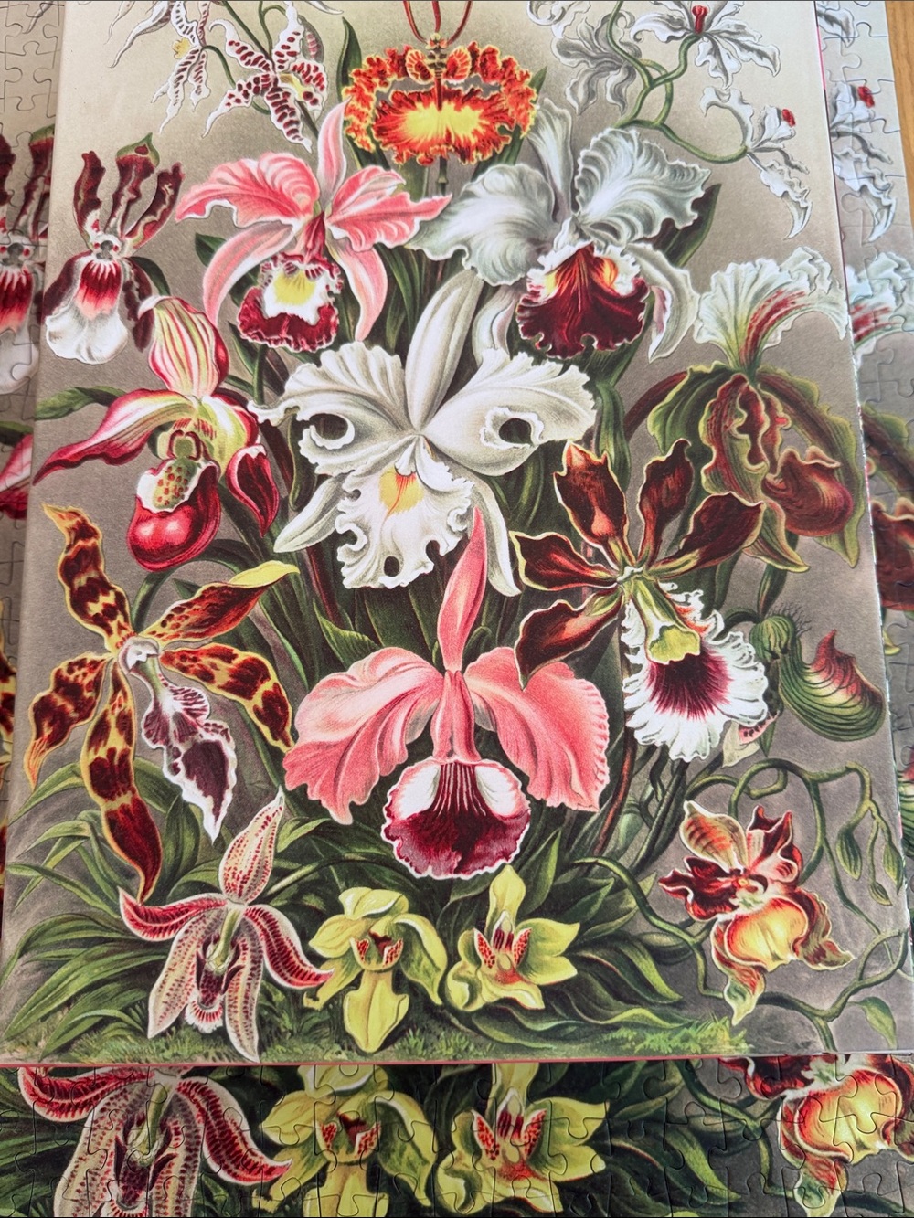 Puzzle by Penny. 500ct. Orchids